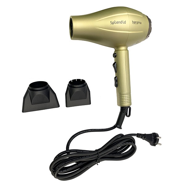 h10225 gold_2