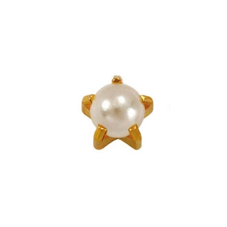 Stud-R-1301