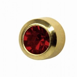 Stud-R-201